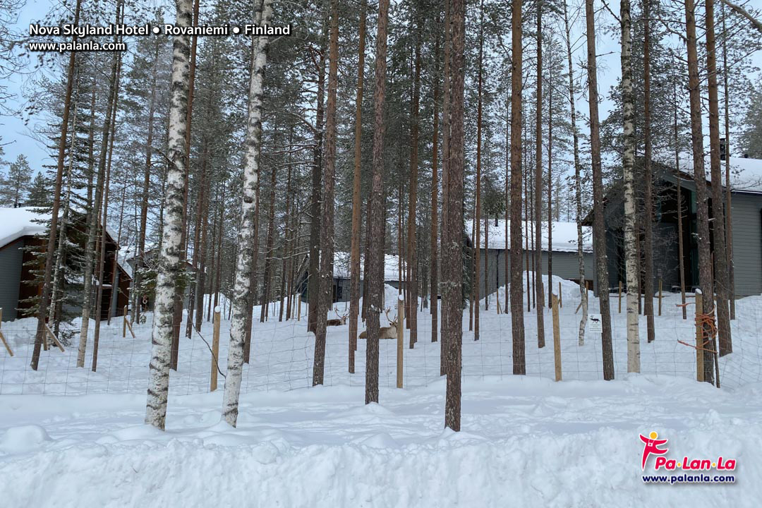 7 Days in Lapland